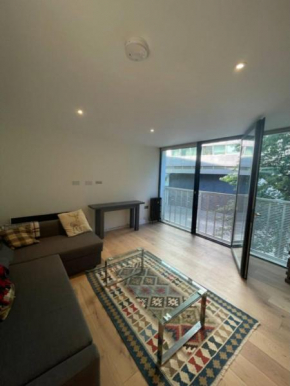 Modern 1BD Flat near River Thames Battersea!
